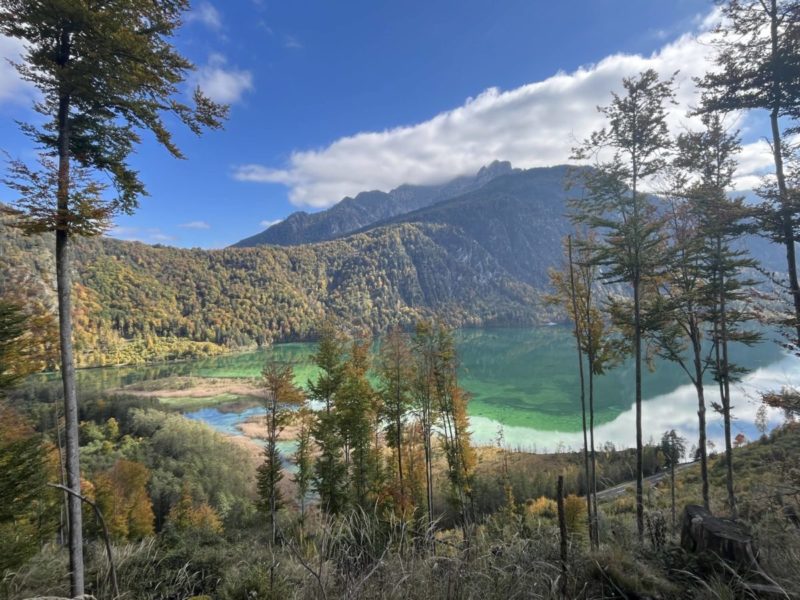 Der Almsee